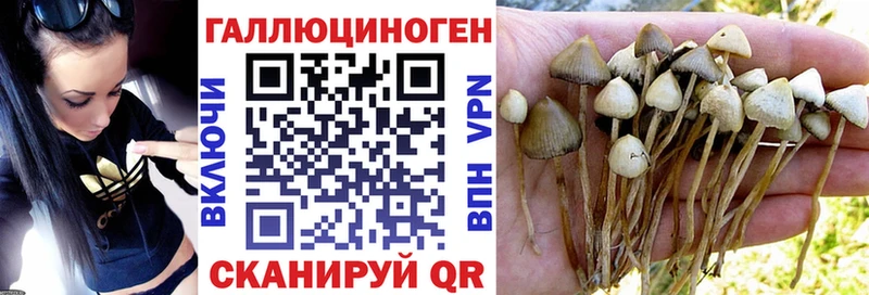 Галлюциногенные грибы мицелий  omg рабочий сайт  Руза 